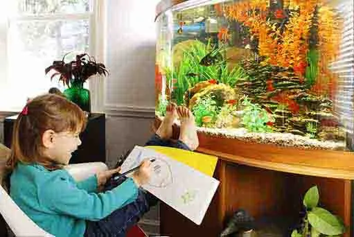 Waste water, sludge, aquarium water filtration