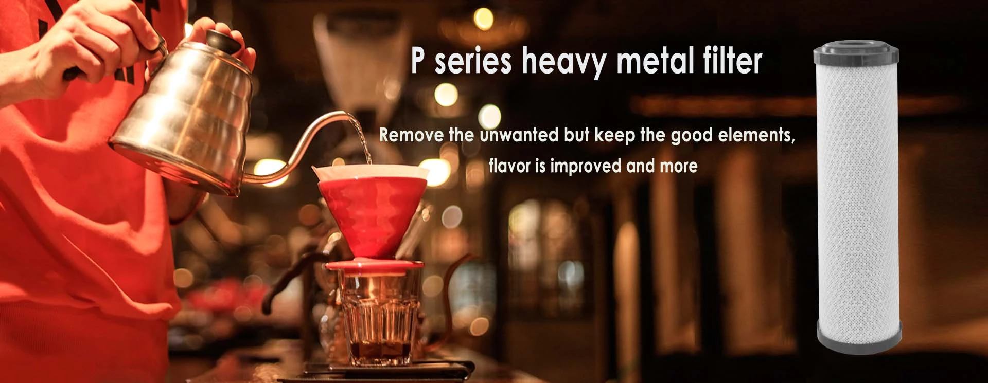 P Series heavy metal removal carbon block